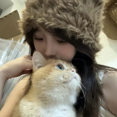 菊花村的那些事